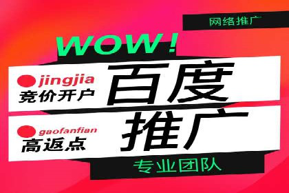 百度竞价价格解析，成功案例分享